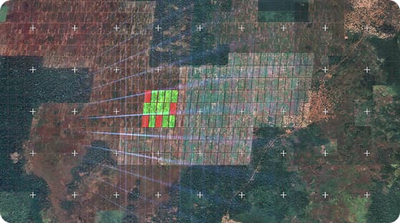 Real-World Assets (RWAs)